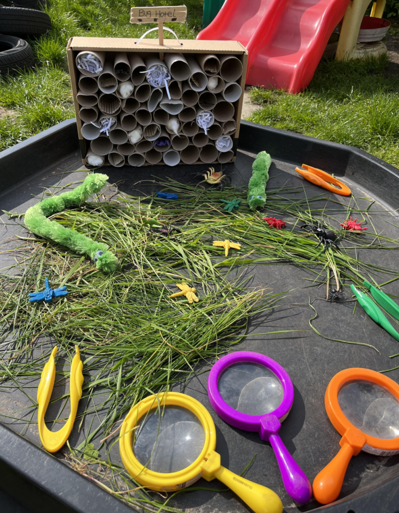 making and exploring an insect home